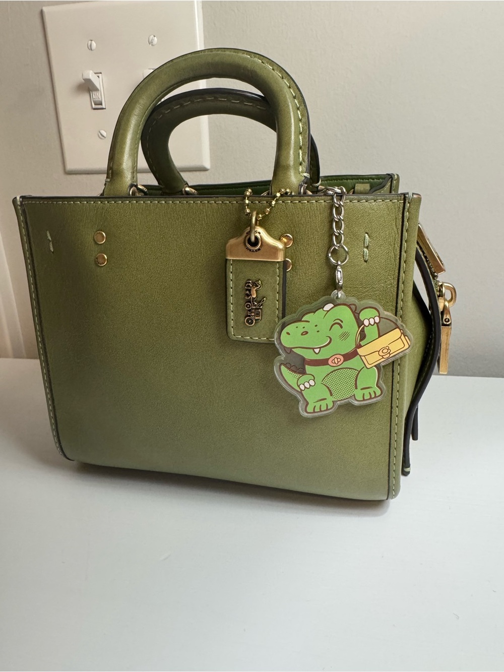Coach play Osaka mascot rexy with tabby keychain charms